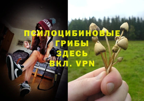 PSILOCYBIN Алзамай